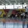 Чемпионат НО по волейболу (высшая лига)