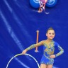 художественная гимнастика 2013-24