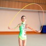 художественная гимнастика 2013-24