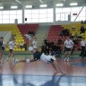 Чемпионат НО по волейболу (высшая лига)